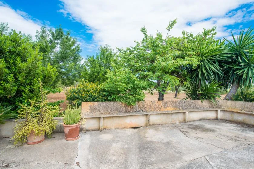 An outdoor patio bordered by leafy plants and trees.