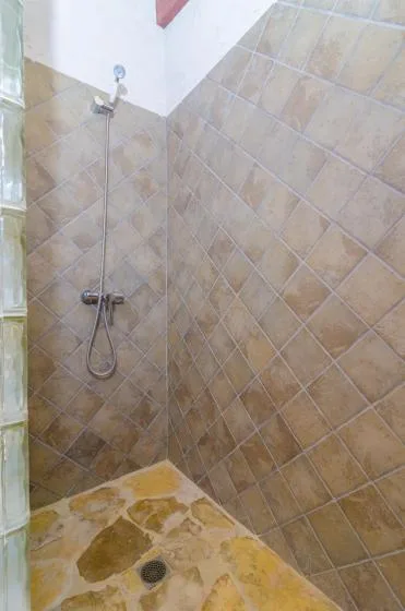A tiled shower area with a handheld showerhead and patterned floor.