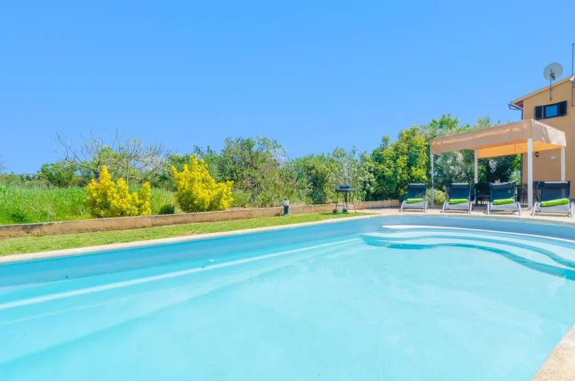 An outdoor swimming pool sits beside a patio with seating and green shrubs.