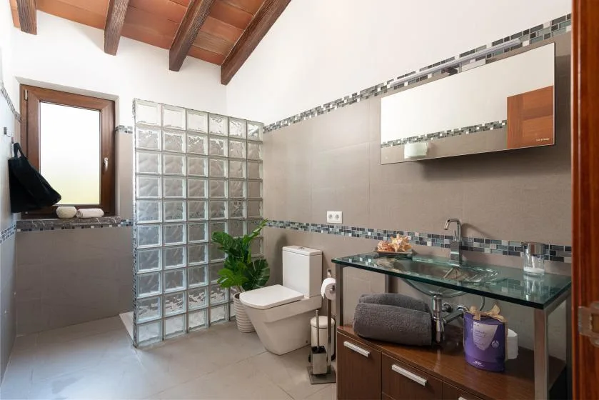 A bathroom with a glass-block partition and a vanity with a sink.