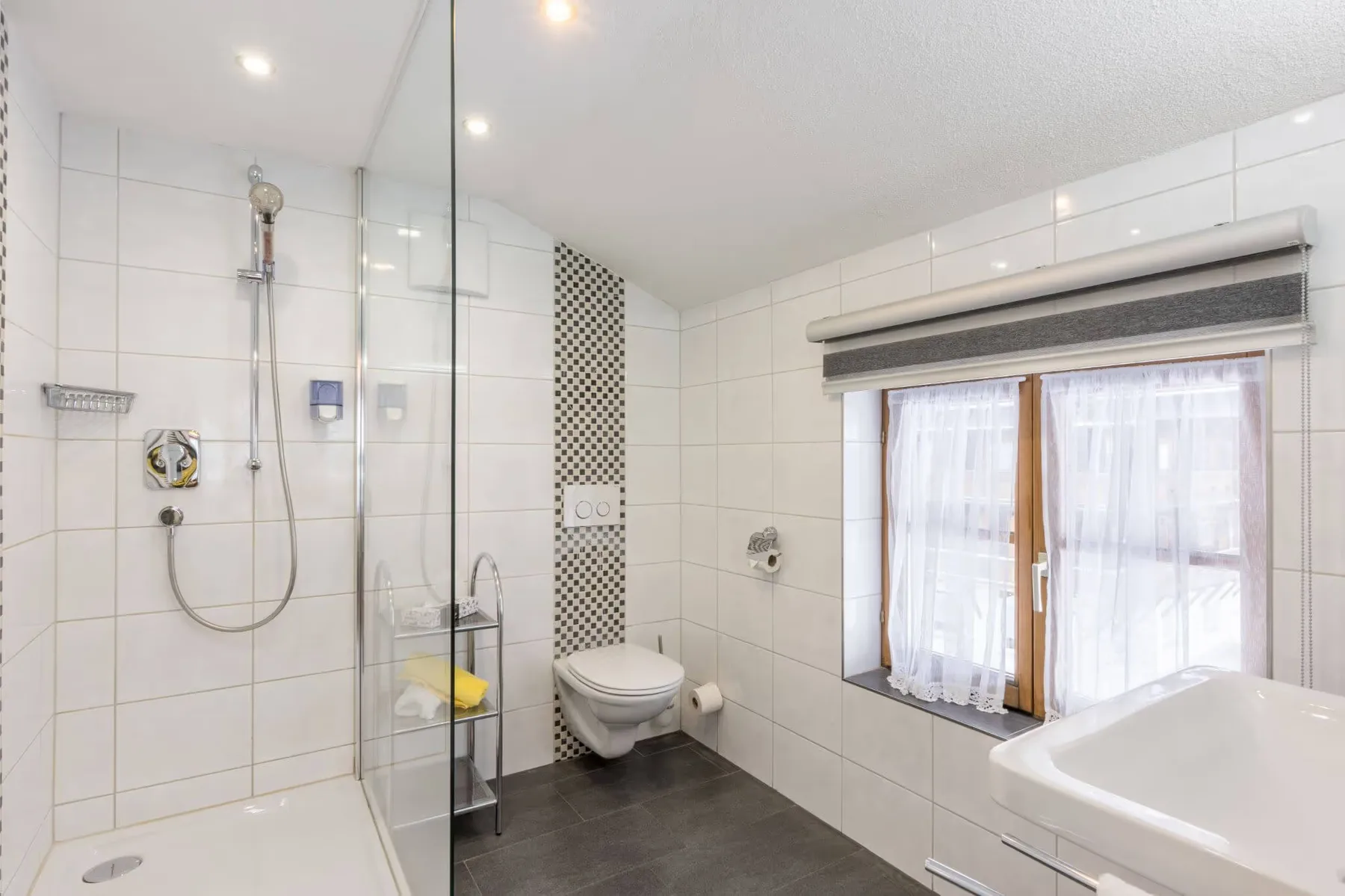 Bathroom in the family room