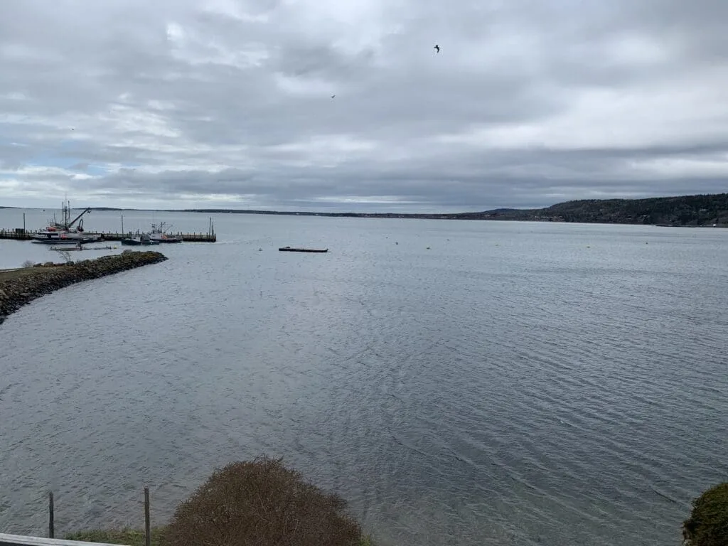 Coastal harbor view.