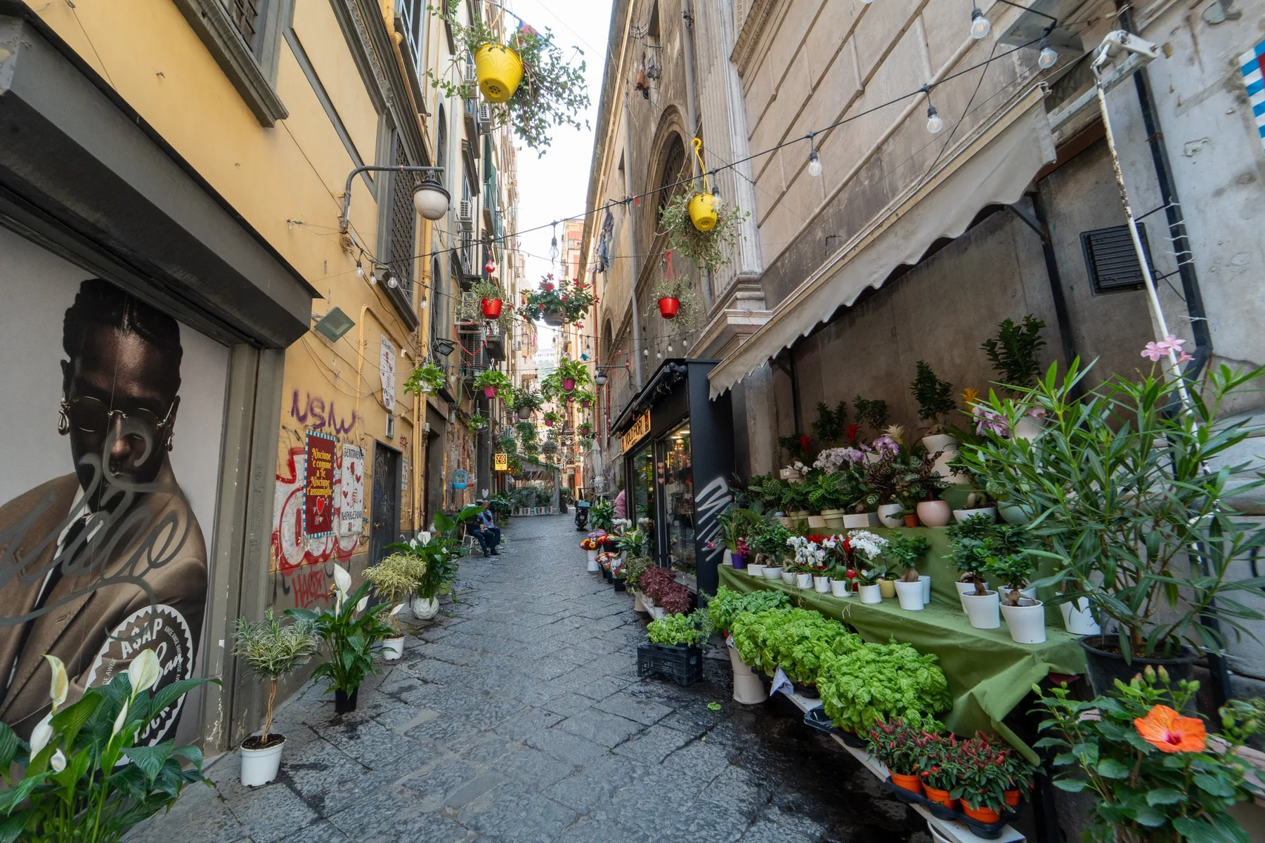 Un callejón estrecho de la ciudad bordeado de plantas en macetas y murales.