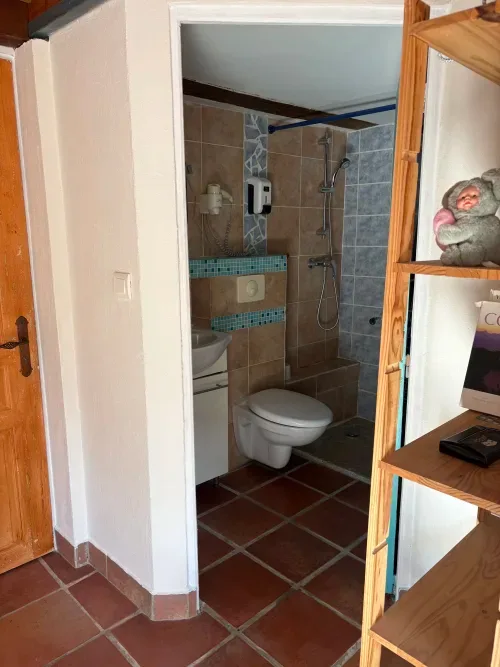 Bathroom with walk-in shower and toilet.