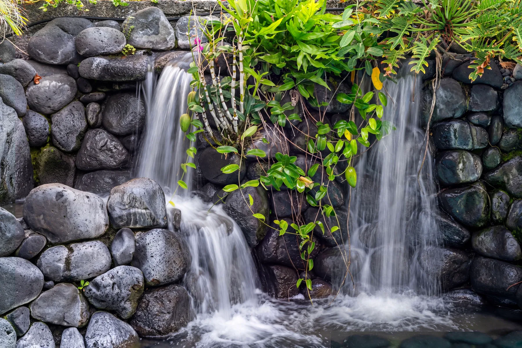 Una pequeña cascada fluye sobre piedras oscuras entre plantas verdes.