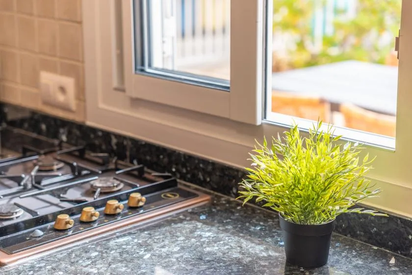 A kitchen counter with a gas cooktop and a potted plant beside the window.