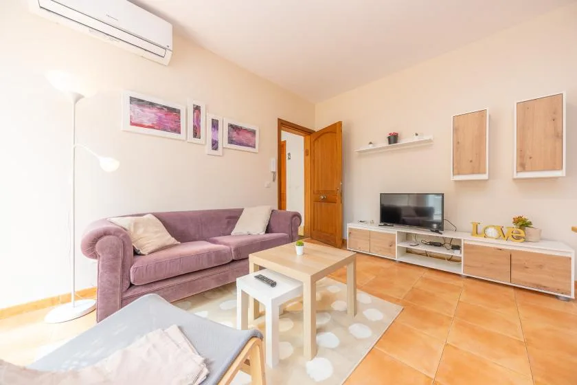 A bright living room with a purple sofa, wooden coffee table, and television.