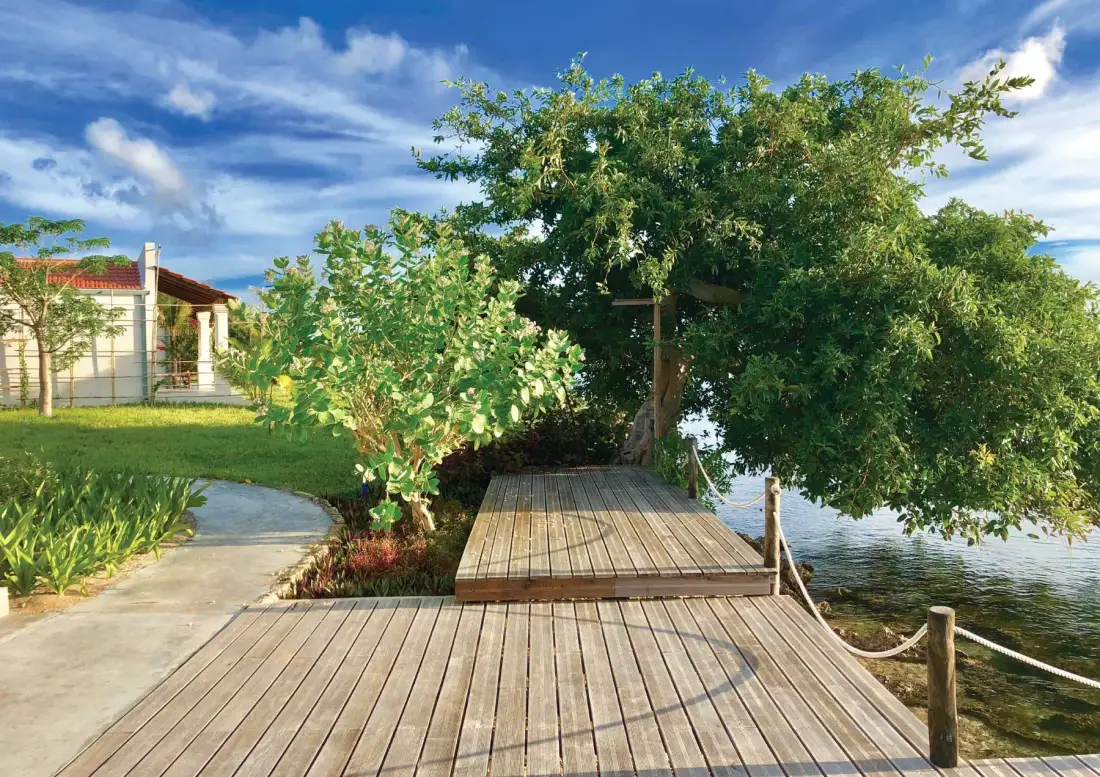 Garden view at Mwani House