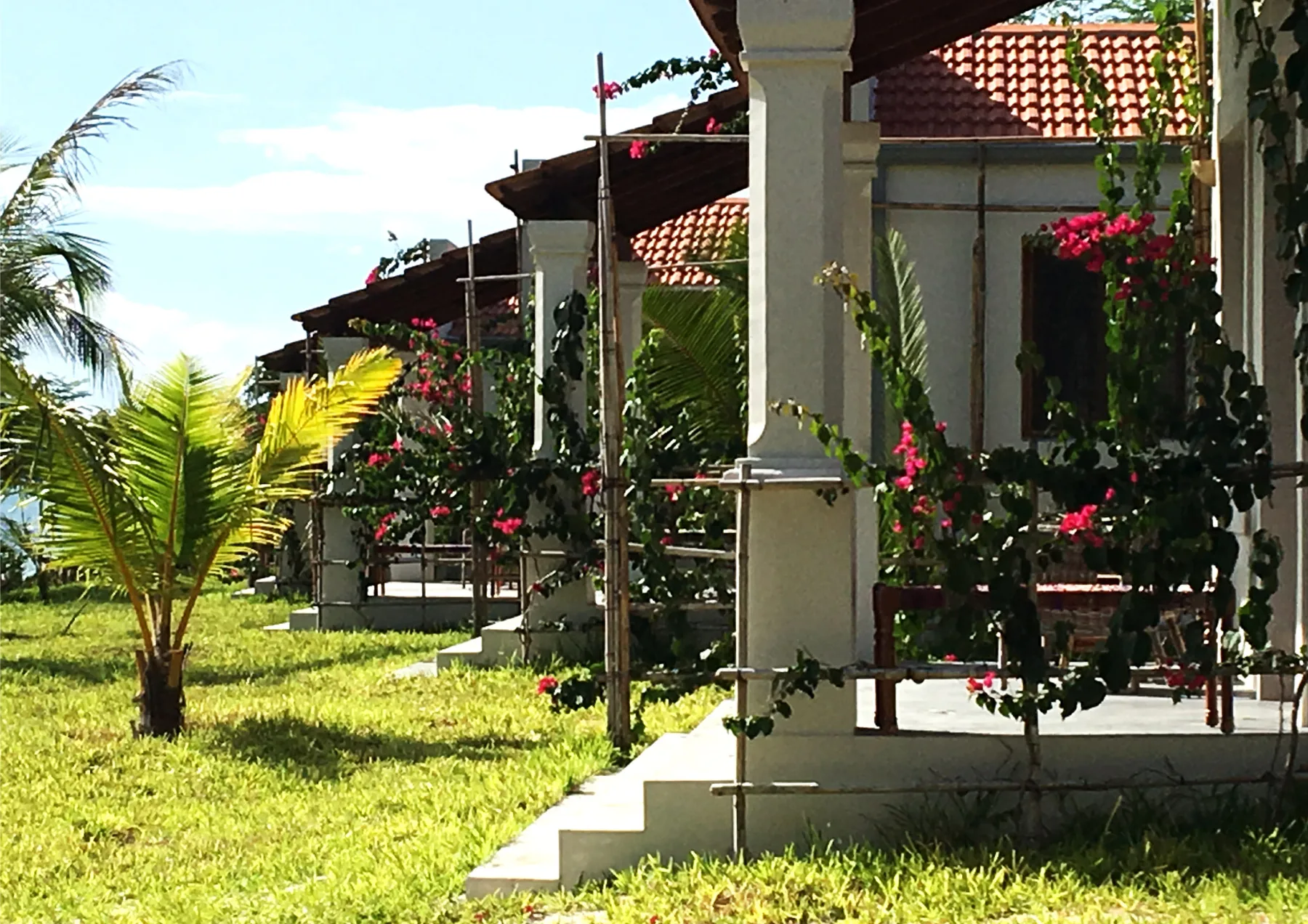Bungaló en el jardín