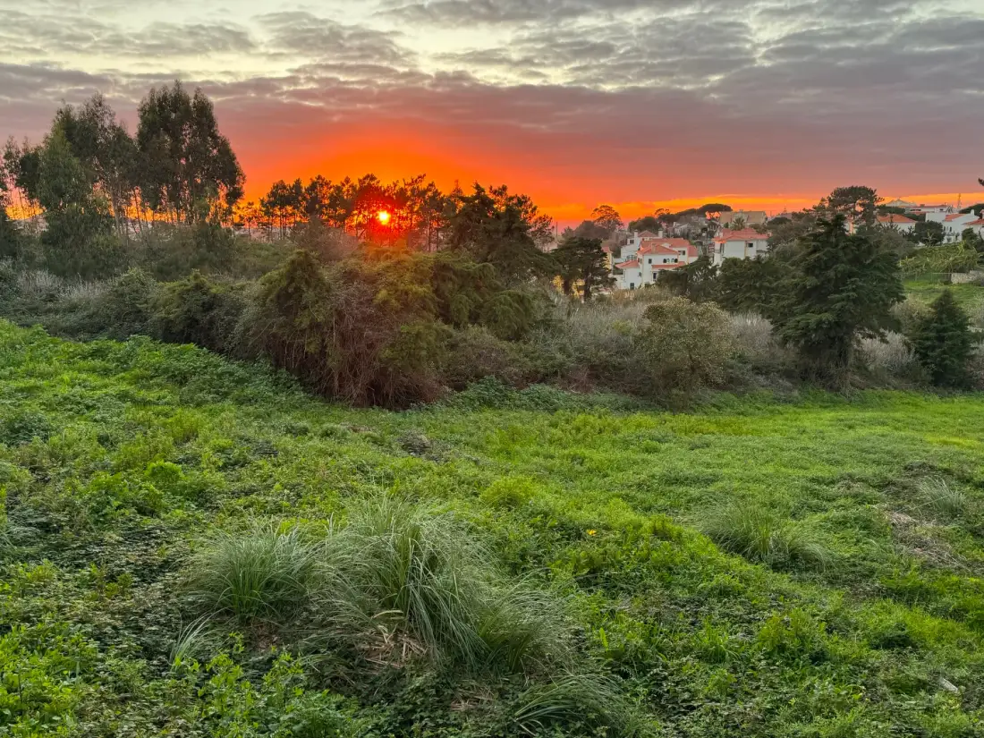 Foto de la propiedad