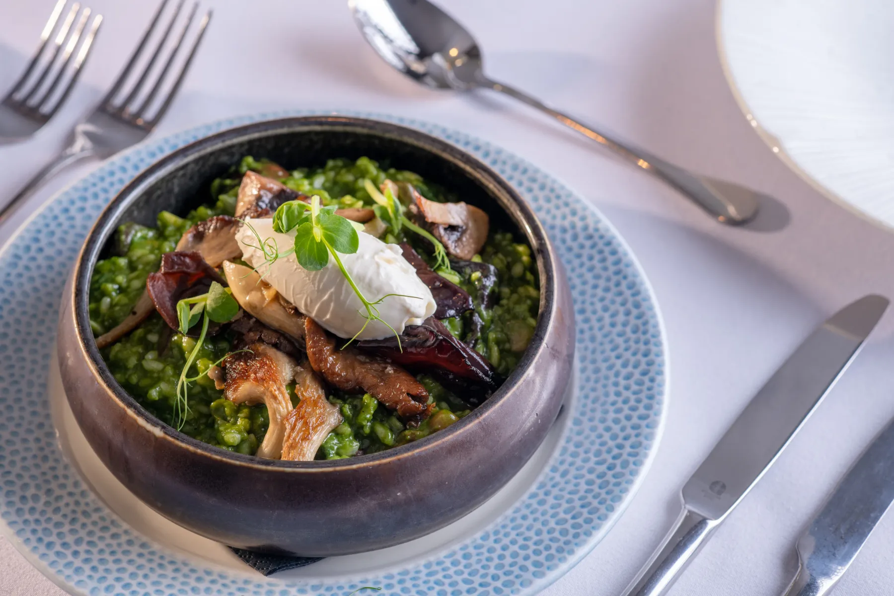 Dining at Curious Kitchen