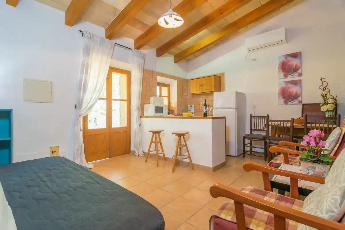 A bright studio room combines a sleeping area, compact kitchen, and dining seating.