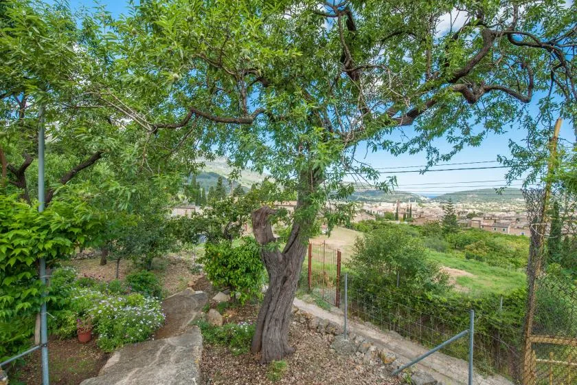 A leafy garden overlooks a green valley and distant buildings.