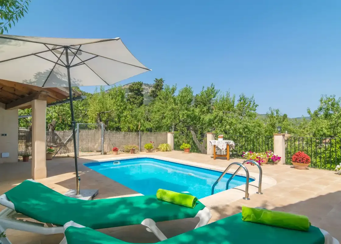 An outdoor swimming pool is surrounded by greenery and lounge seating.