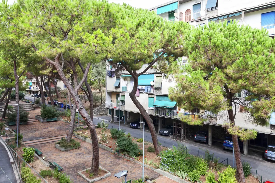 A tree-lined courtyard with paved walkways and apartment buildings.