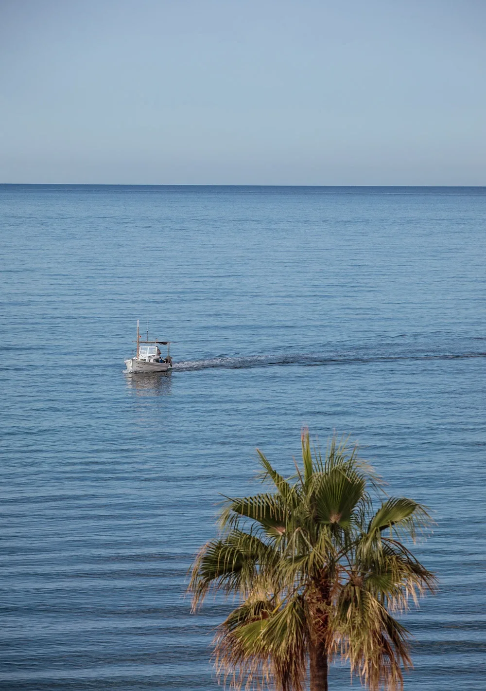 Hotel Portixol