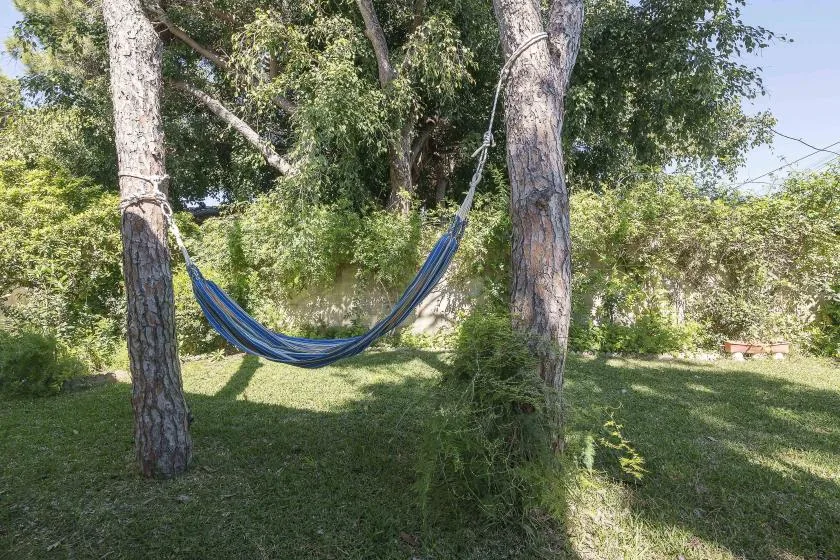 A blue hammock hangs between trees in a grassy, leafy garden.