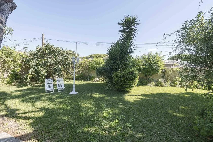 A grassy garden with shrubs and a tall spiky plant.