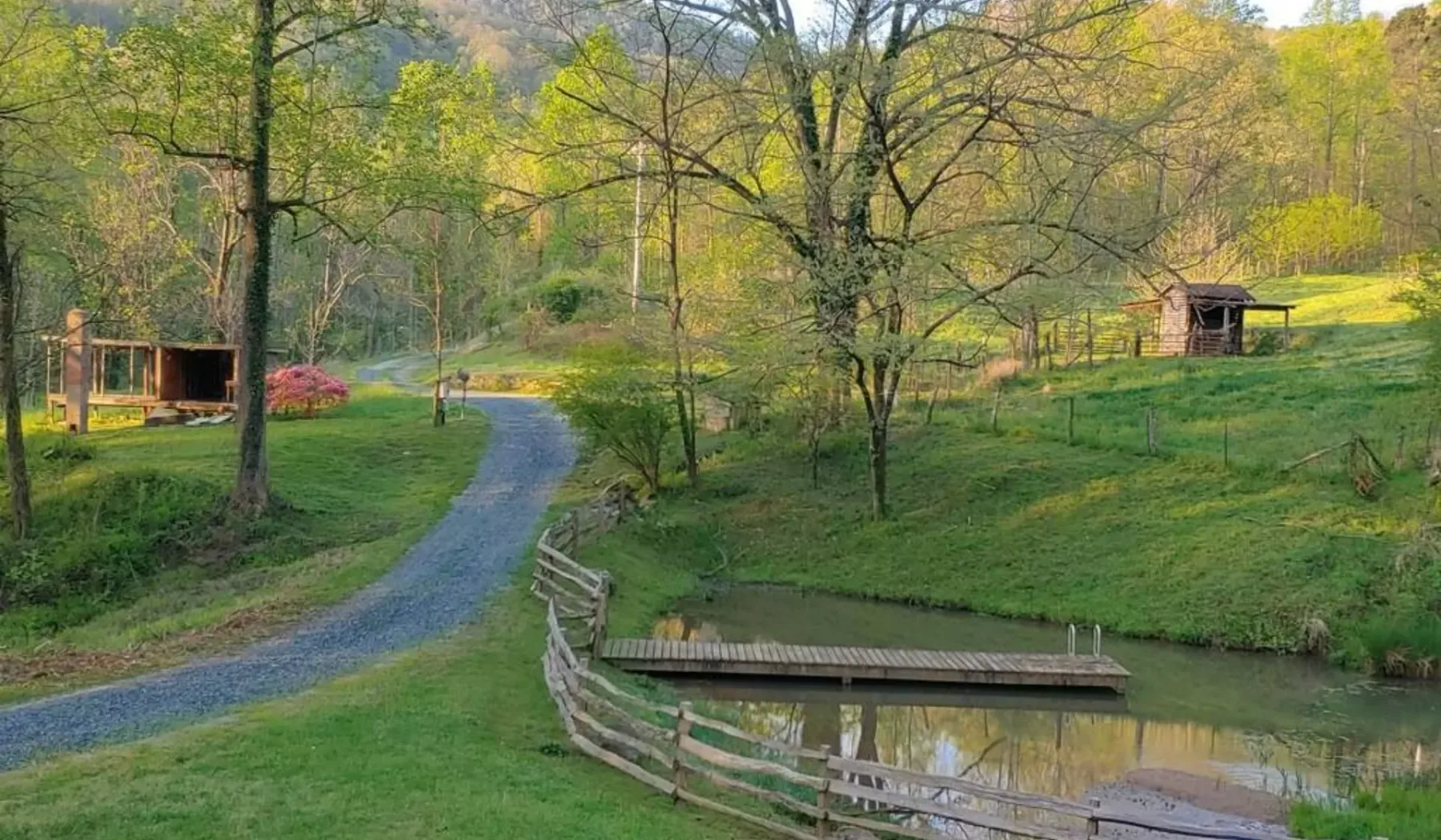 A wooded rural landscape with a gravel path and a small pond.