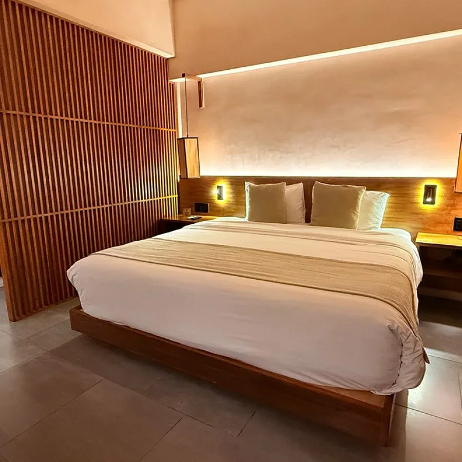Suite con cama king size