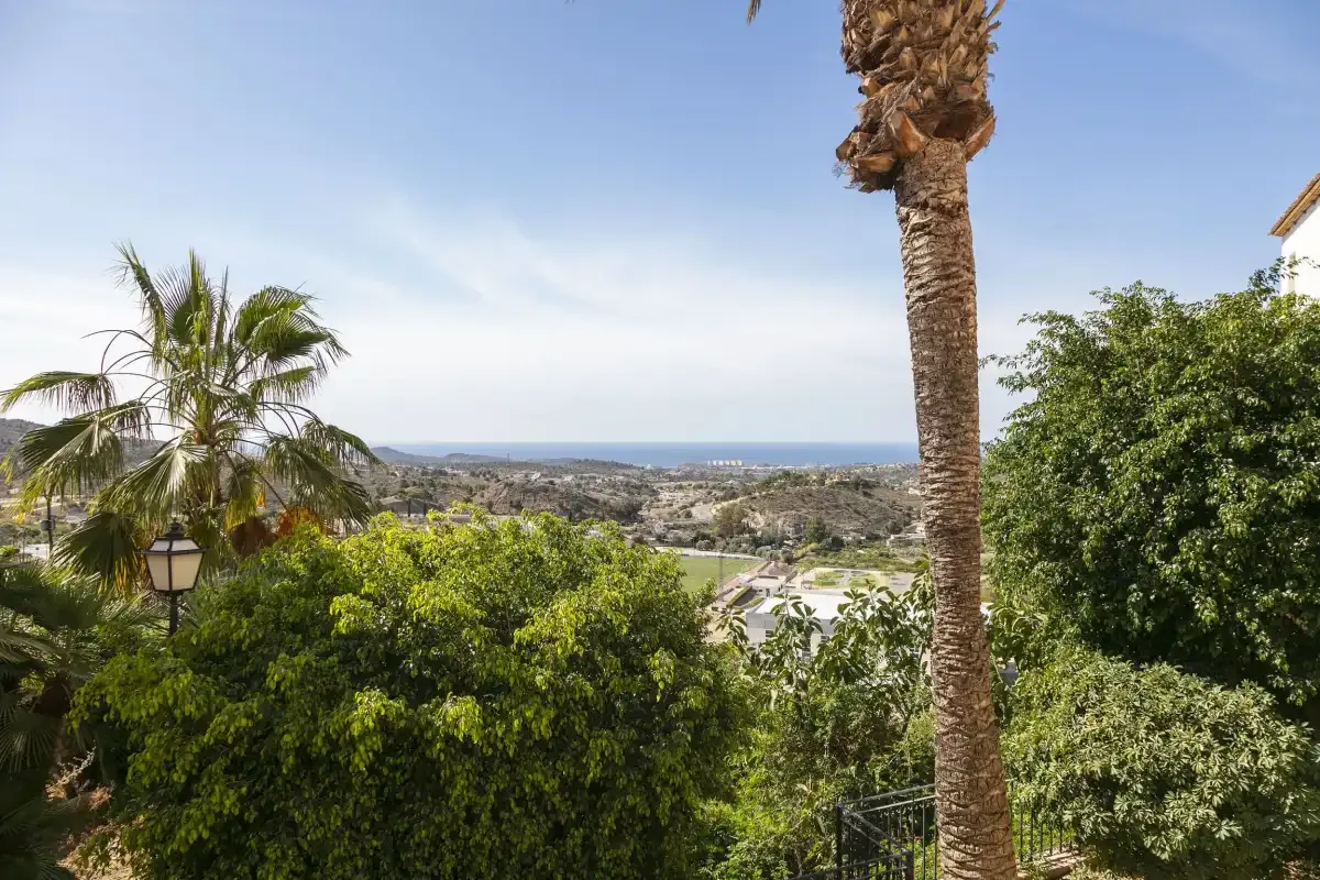 A leafy outdoor view overlooks a coastal town and the sea.