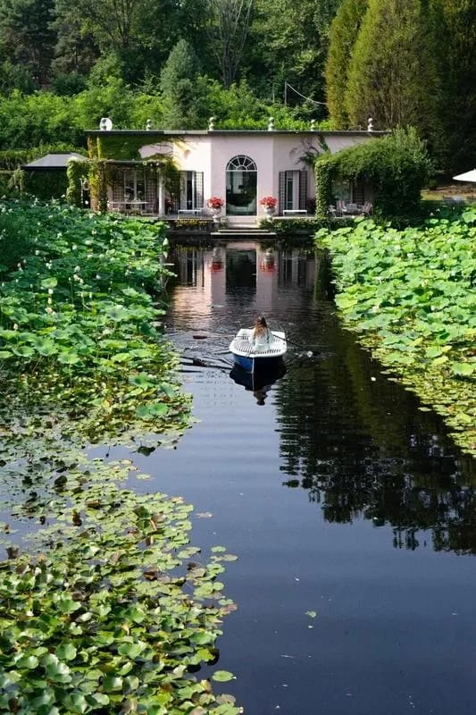 Charming 1BR Suite in Revislate