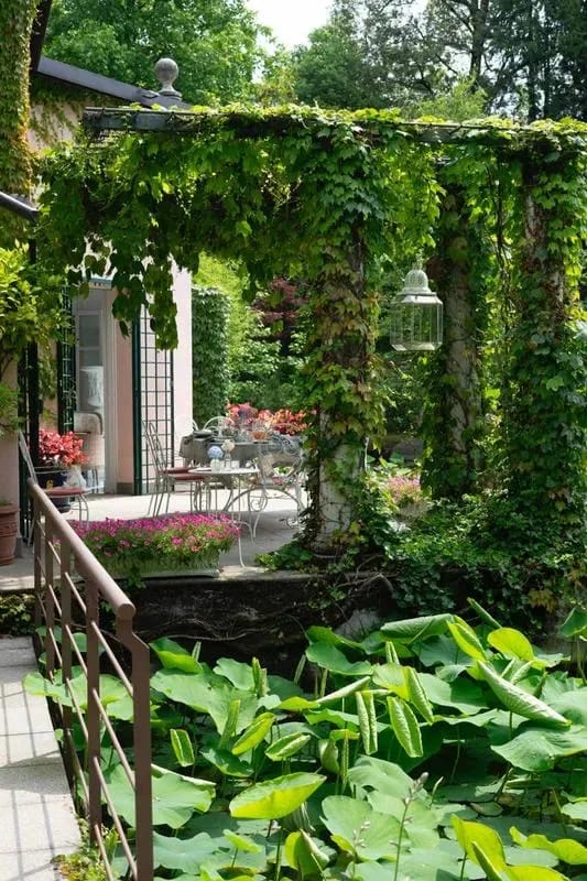 Charming 1BR Suite in Revislate