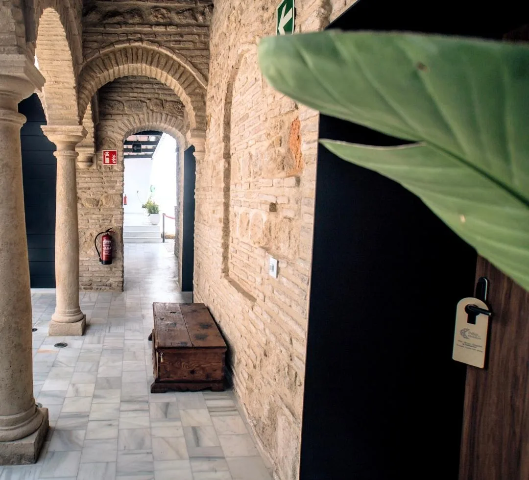 Patios del Orfebre property