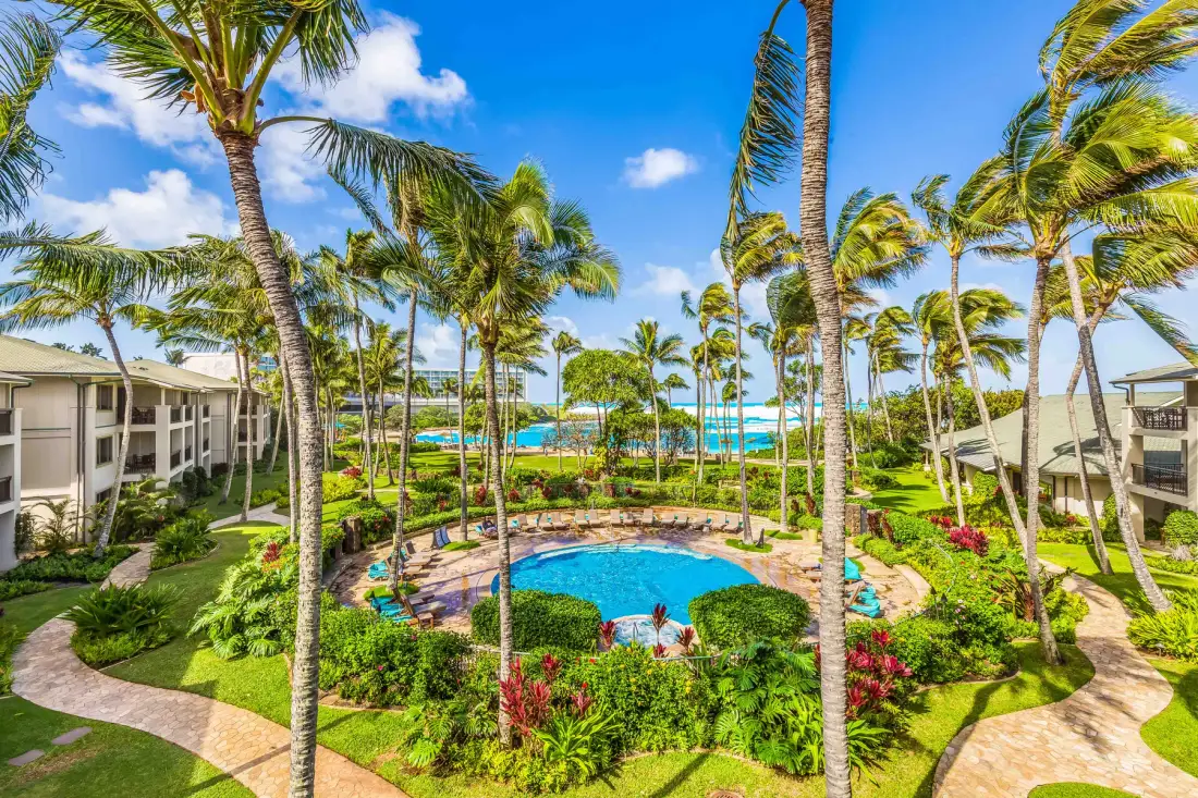 Un jardín tropical rodea una piscina curva, con palmeras alrededor.