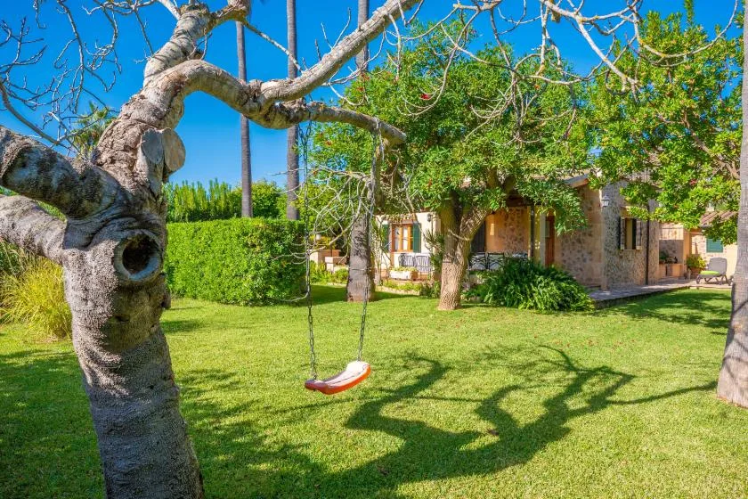 A grassy garden with a leafy tree and a small swing.