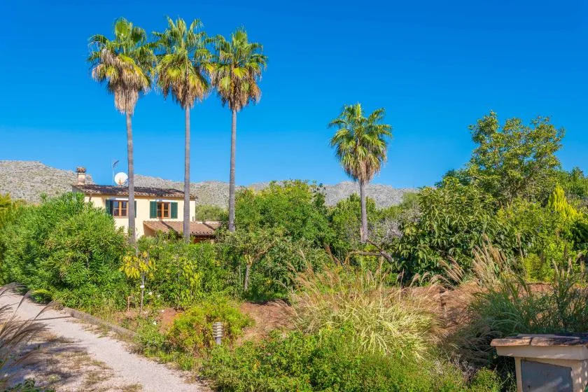 A garden path winds through lush vegetation toward a house beneath palm trees.