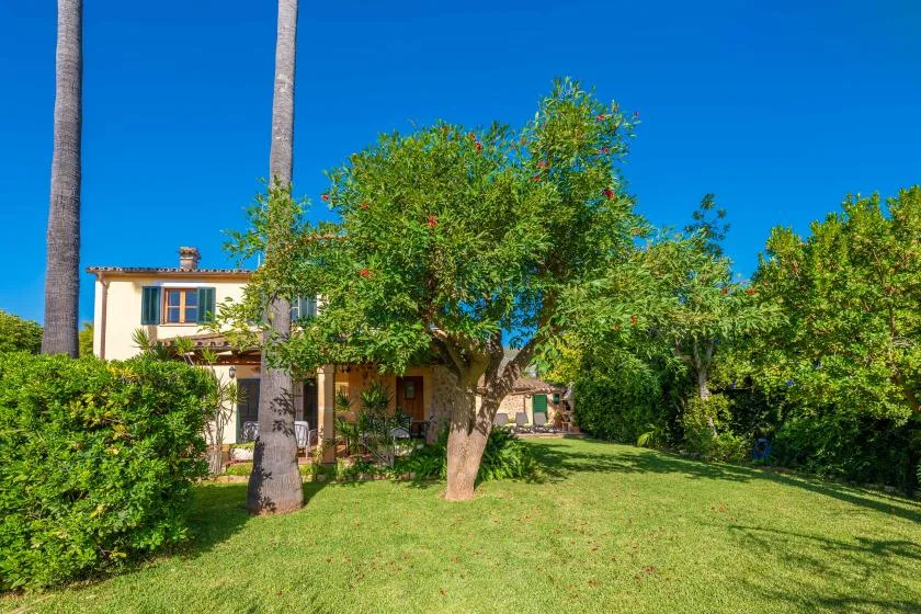 A house sits behind leafy trees in a sunny green garden.