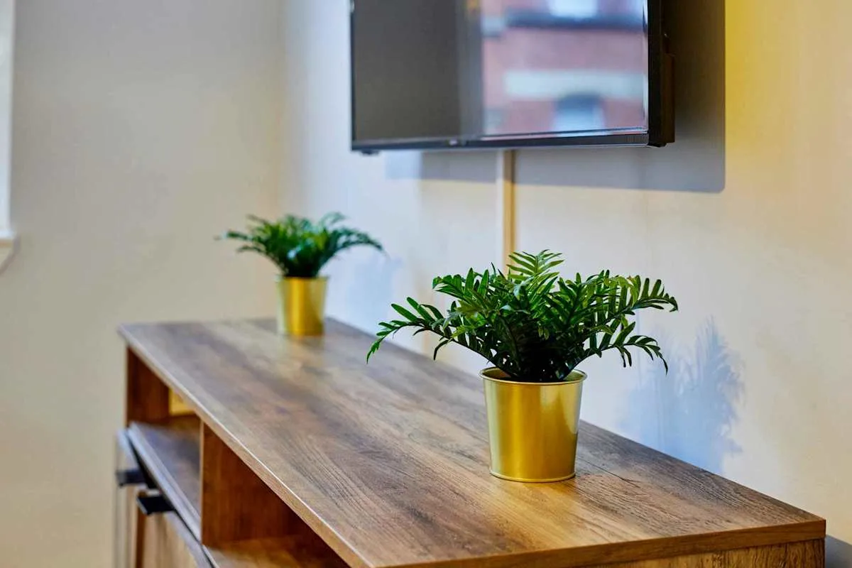 A wooden console with two potted plants sits beneath a wall-mounted television.