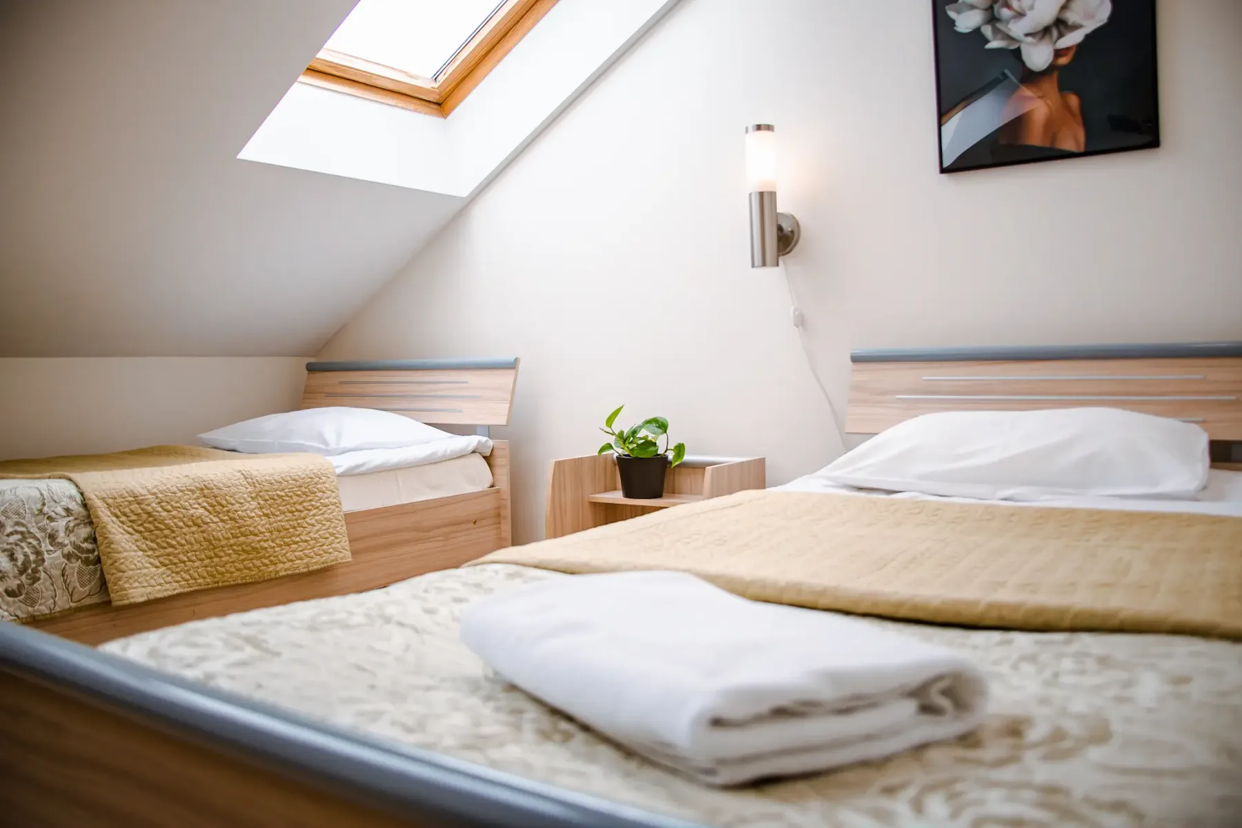 Room with two separate single beds