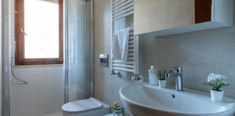 A bathroom with a sink, mirror, and shower beside a bright window.