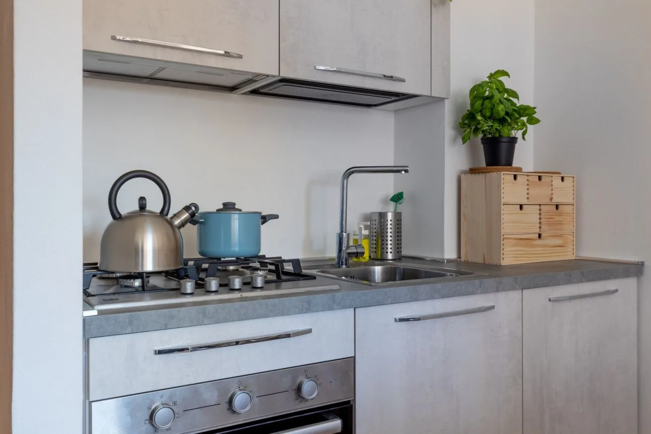 A modern kitchen with a gas cooktop, sink, and potted plant on the counter.