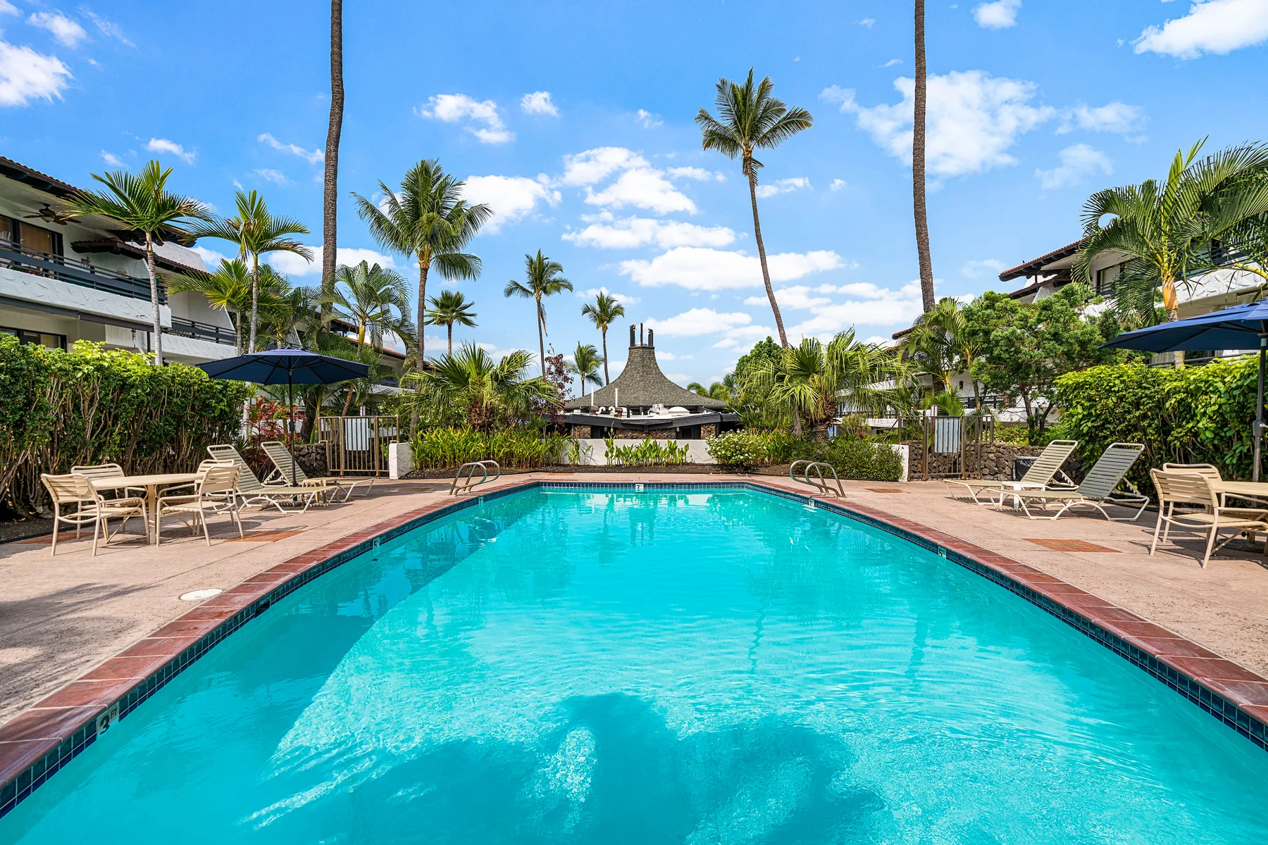 A swimming pool sits among palm trees and lounge seating.