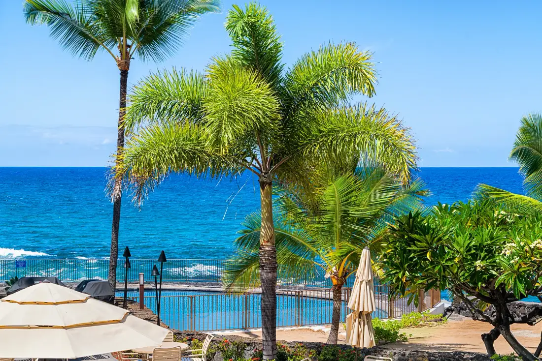 A palm-lined seaside patio overlooks a blue ocean and swimming pool.