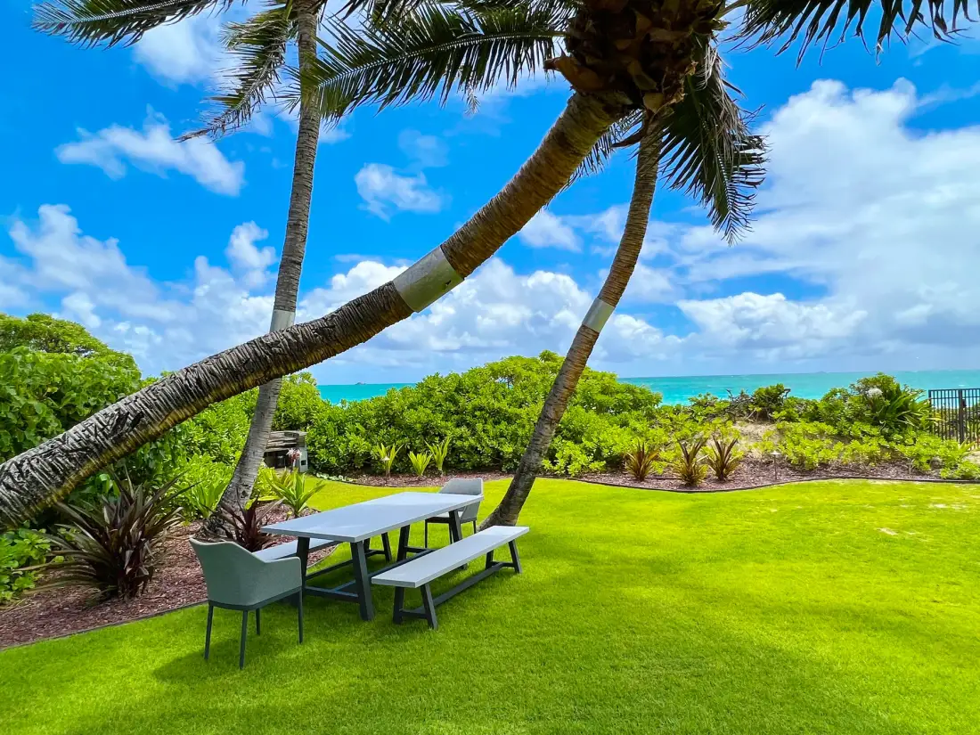 A seaside lawn with a picnic table beneath palm trees.