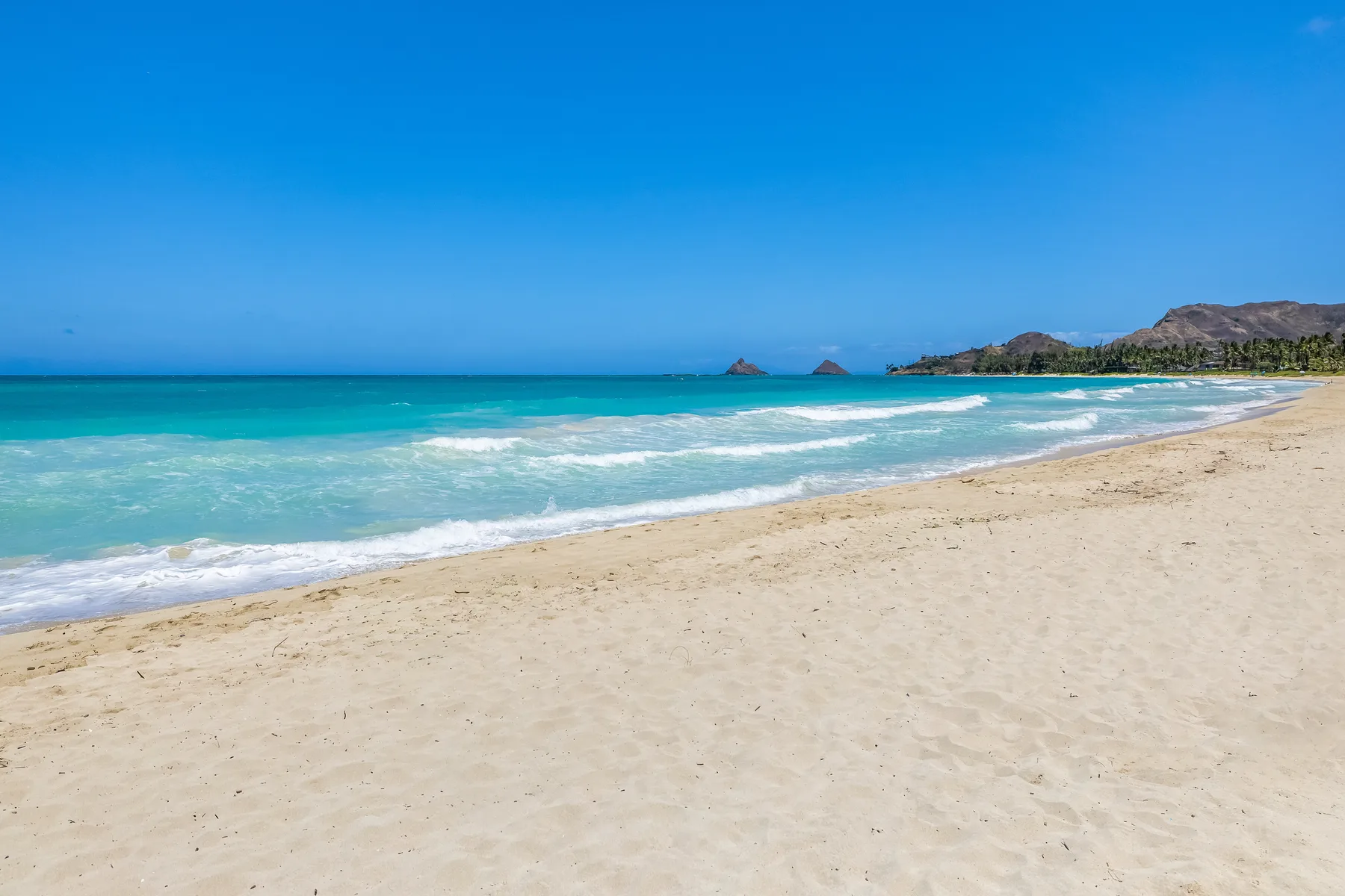 A sandy beach meets turquoise water beneath a clear blue sky.