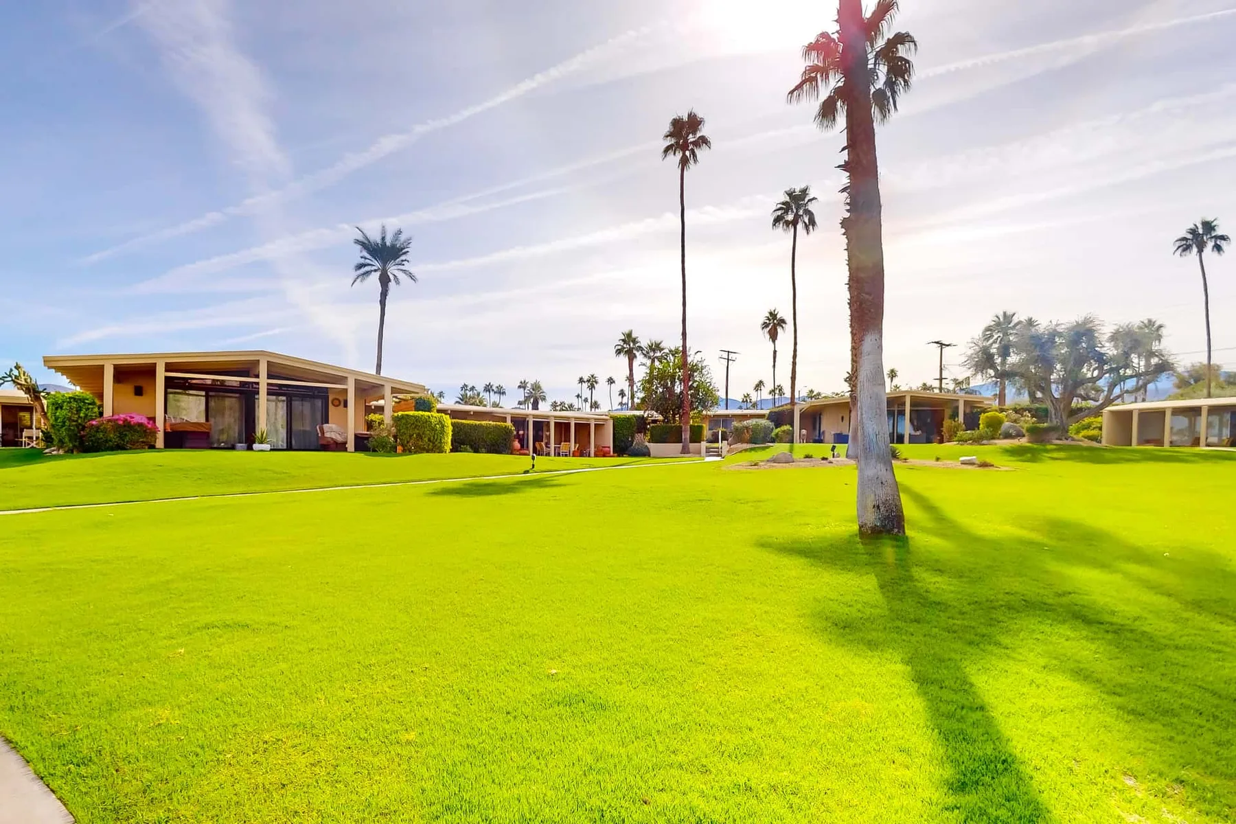A broad green lawn with palm trees and low buildings under a bright sky.