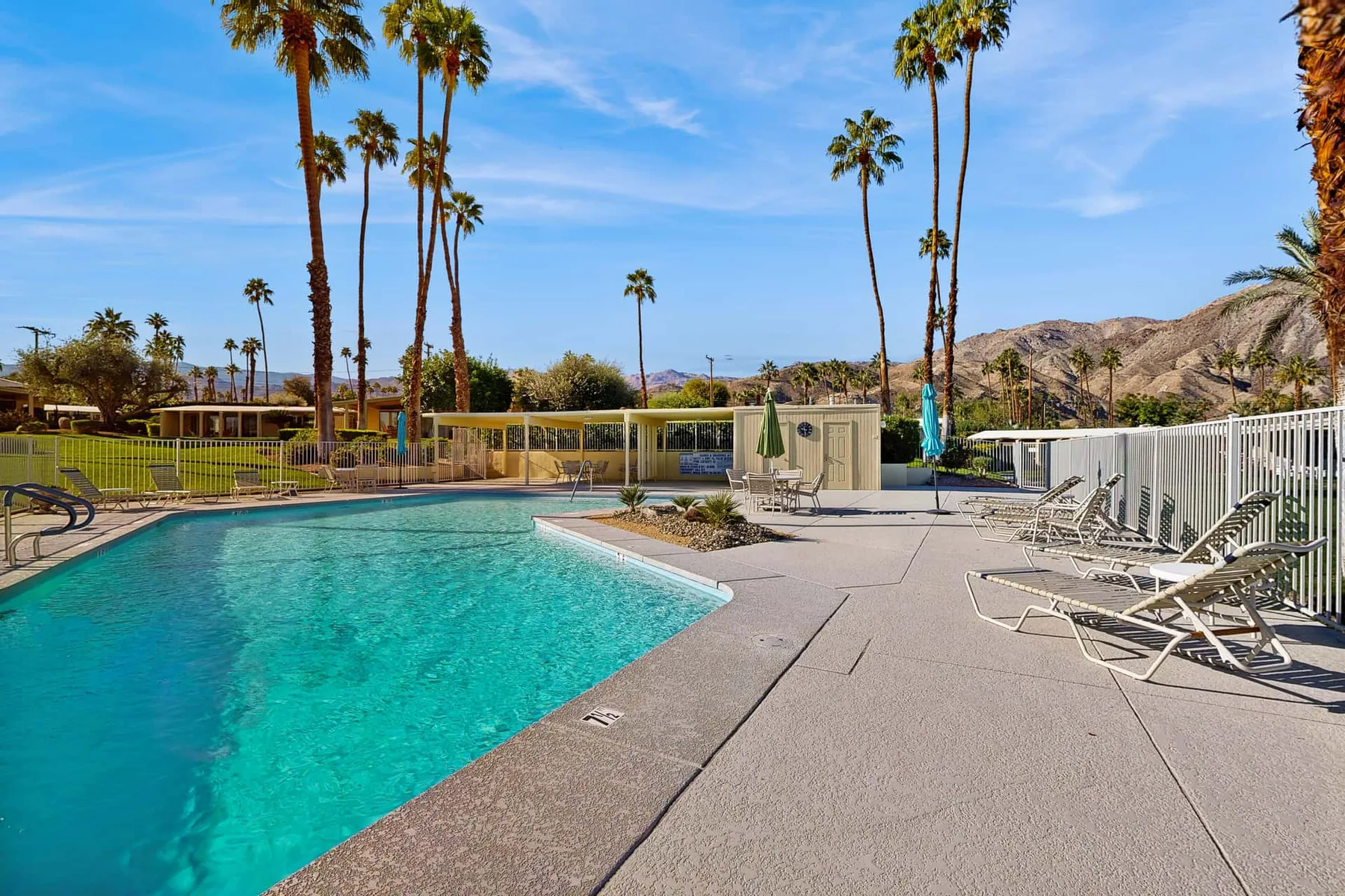 An outdoor swimming pool is bordered by lounge chairs and tall palm trees.