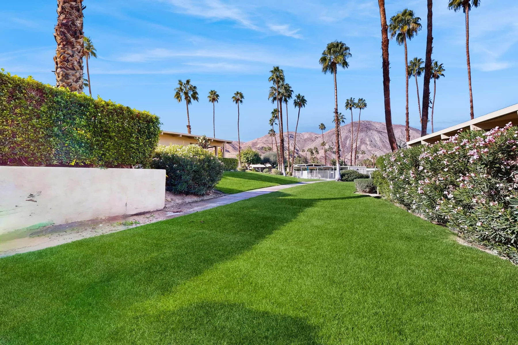 A landscaped garden path runs between green lawns and flowering hedges, with palm trees beyond.
