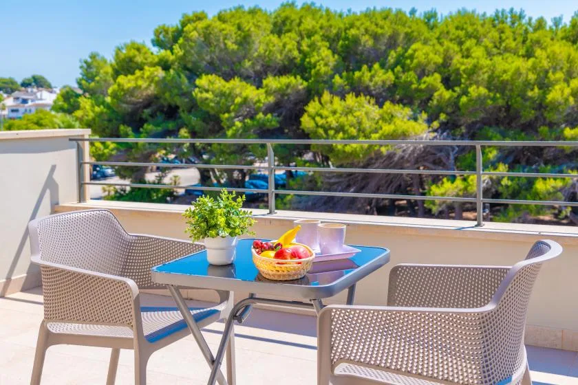 A sunny terrace with a table and seating overlooking leafy trees.