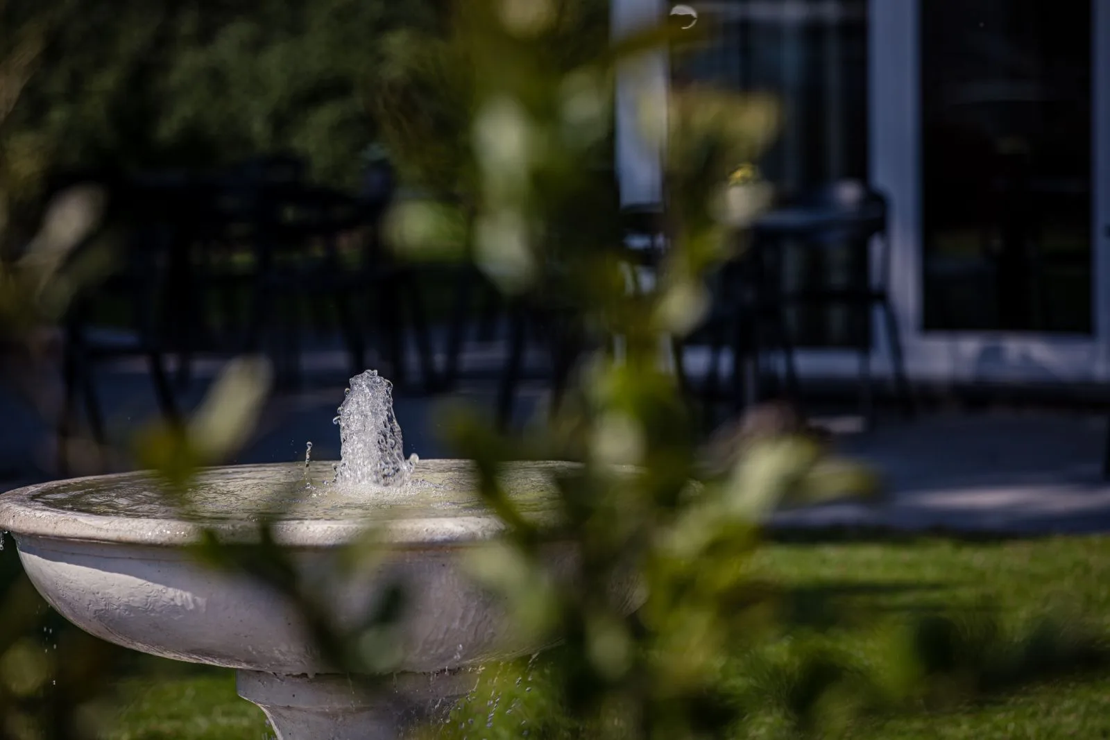 Fountain detail