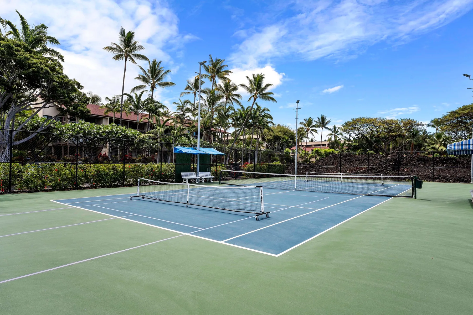 Una cancha de tenis al aire libre está rodeada de palmeras y vegetación.