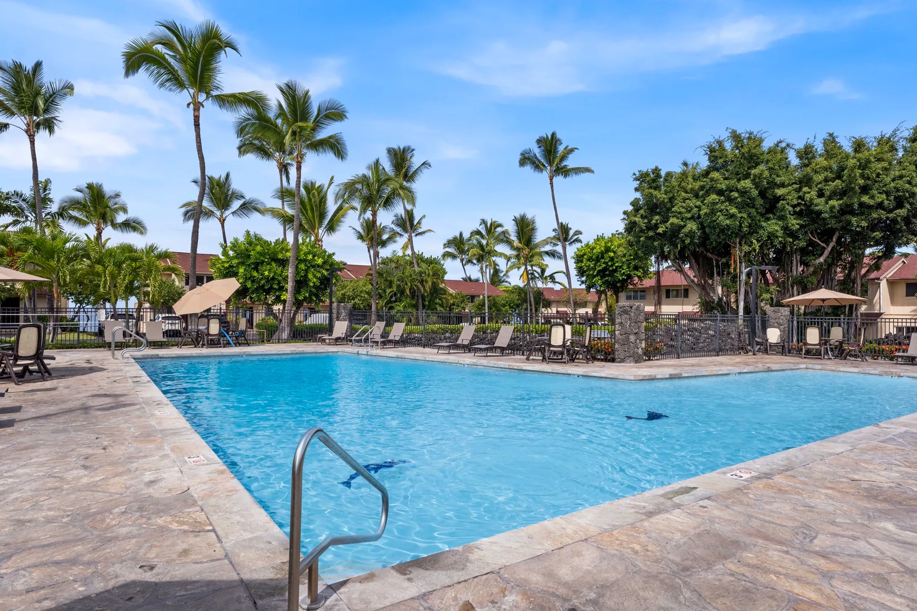 Una piscina al aire libre está rodeada de palmeras y asientos.