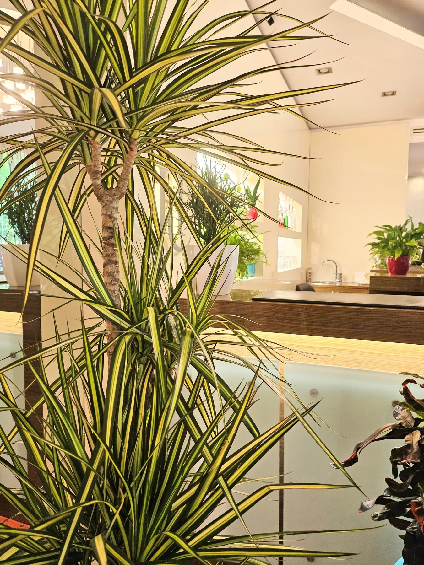 Hotel Campion gallery photo
