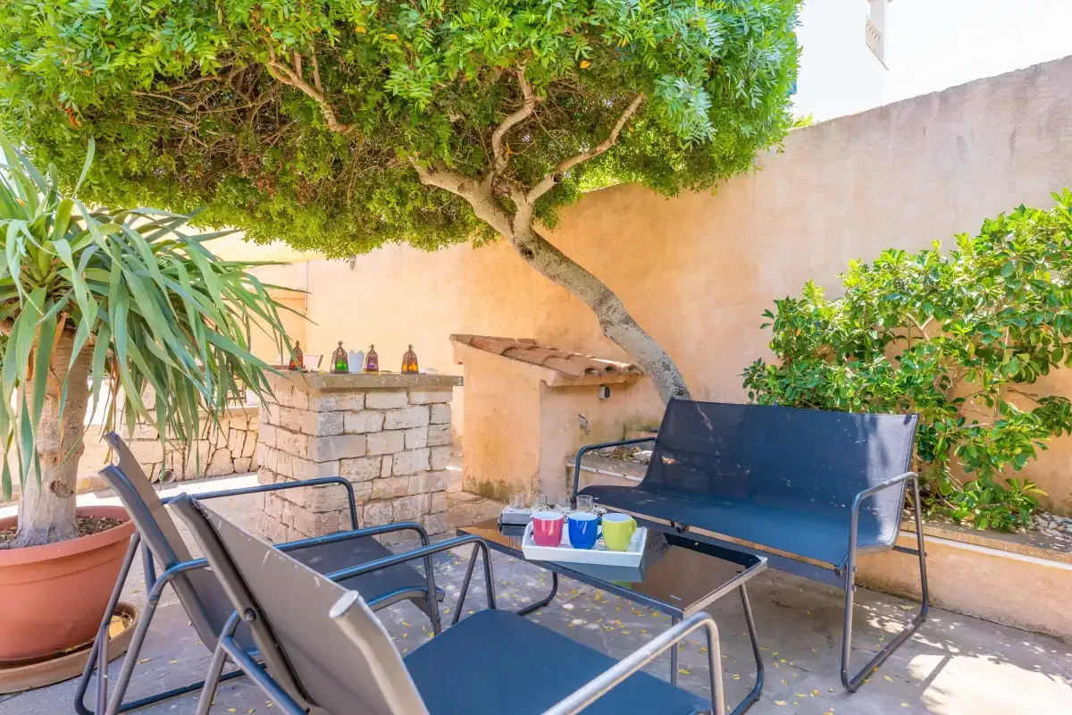 A shaded outdoor seating area with a small table beneath a tree.
