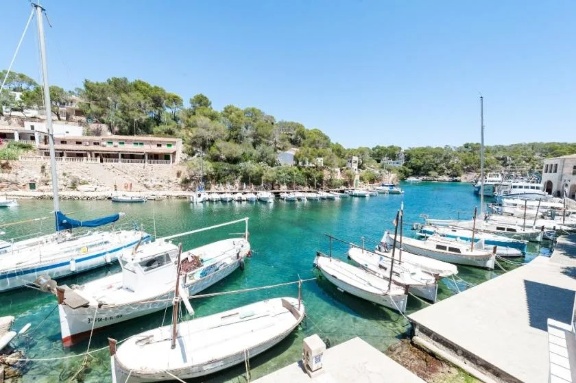A marina harbor with small boats moored along the turquoise water.